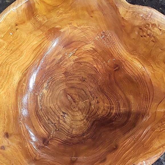 Hollow Carved Wood Stump Catchall Bowl Bin 7" Wide 3" Tall Burl Wood - Picture 2 of 5